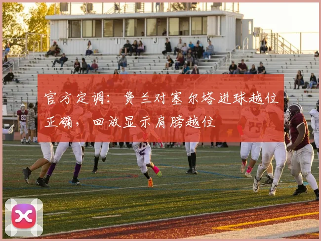 官方定调:费兰对塞尔塔进球越位正确,回放显示肩膀越位